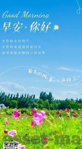 91av麻豆传媒映画破解版-无法忽视的真实与虚拟，网络文化视角下的91av影像案例探讨