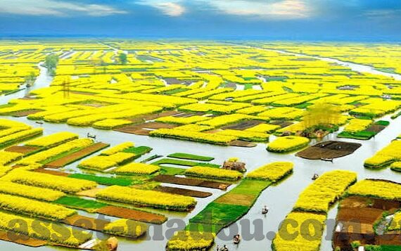 91麻豆国产视频-乐在当下，探索91麻豆国产视频的文化现象与社会视角
