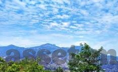 91麻豆免费视频-更健康的网络探索之旅，提升信息素养，远离不良诱惑