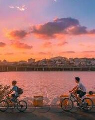 91麻豆无毒不卡-浅析91麻豆，纯净娱乐体验的倡导者