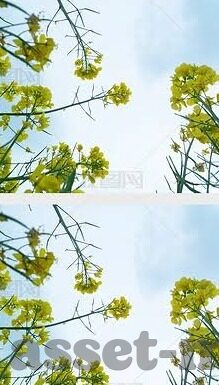 大象传媒精字窝-精字窝，大象传媒的独特文化与传承