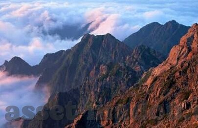 大象传媒客户端-大象传媒客户端，重塑数字娱乐的未来