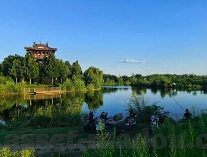 寂寞人妻-寂寞人妻，在婚姻缝隙中寻找光亮的微妙平衡