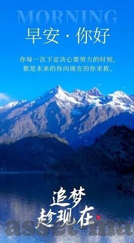 神马电影伦理第九网站-电影伦理的灰色地带，揭秘神马电影伦理第九网站